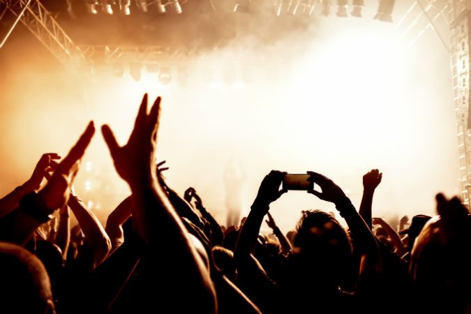 Fans bei einem Konzert