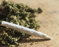 Marihuana soll legalisiert werden