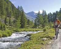 Lust auf Mountainbiken? - Modelle, Einsatzgebiete, Preise