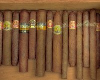 Eine Zigarrenkiste voll Zigarren