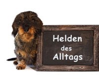 Helden des Alltags