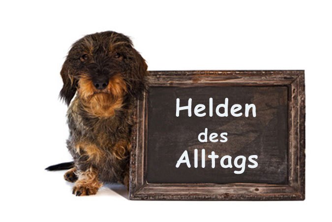 Helden des Alltags