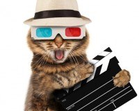 Fun Filme: Das sind die beliebtesten Kategorien!