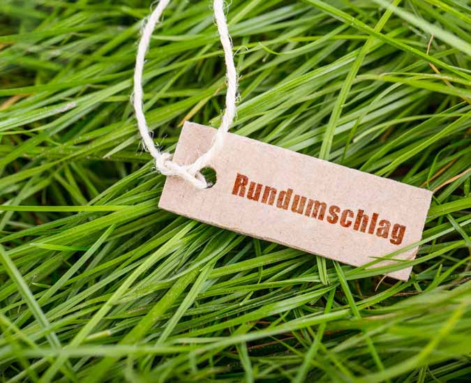 Rasen Rundumschlag