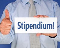 stipendium-stiftungsindex-usa